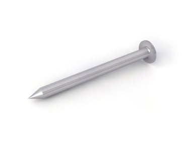 A single metal nail with a pointed tip and round flat head, shown at an angle against a white background